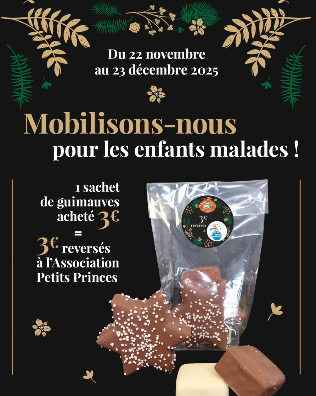 opération solidaire Noël 2025